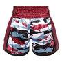 Kickboxing shorts Camo